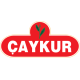 Çaykur
