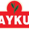 Çaykur