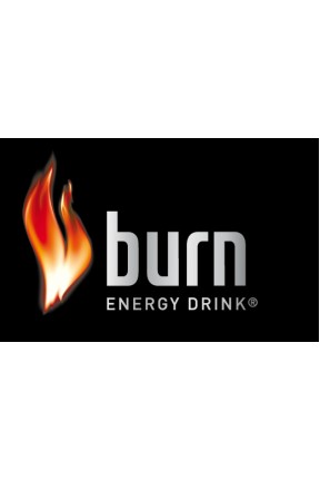 Burn  Enerji İçeceği 250 ML (12 Li)