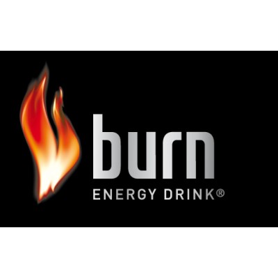 Burn  Enerji İçeceği 250 ML (12 Li)