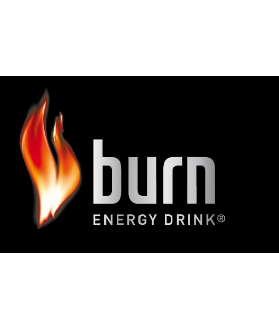 Burn  Enerji İçeceği 250 ML (12 Li)