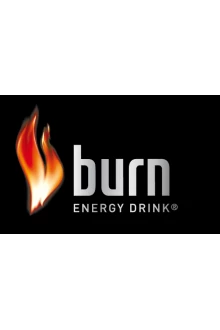 Burn  Enerji İçeceği 250 ML (12 Li)
